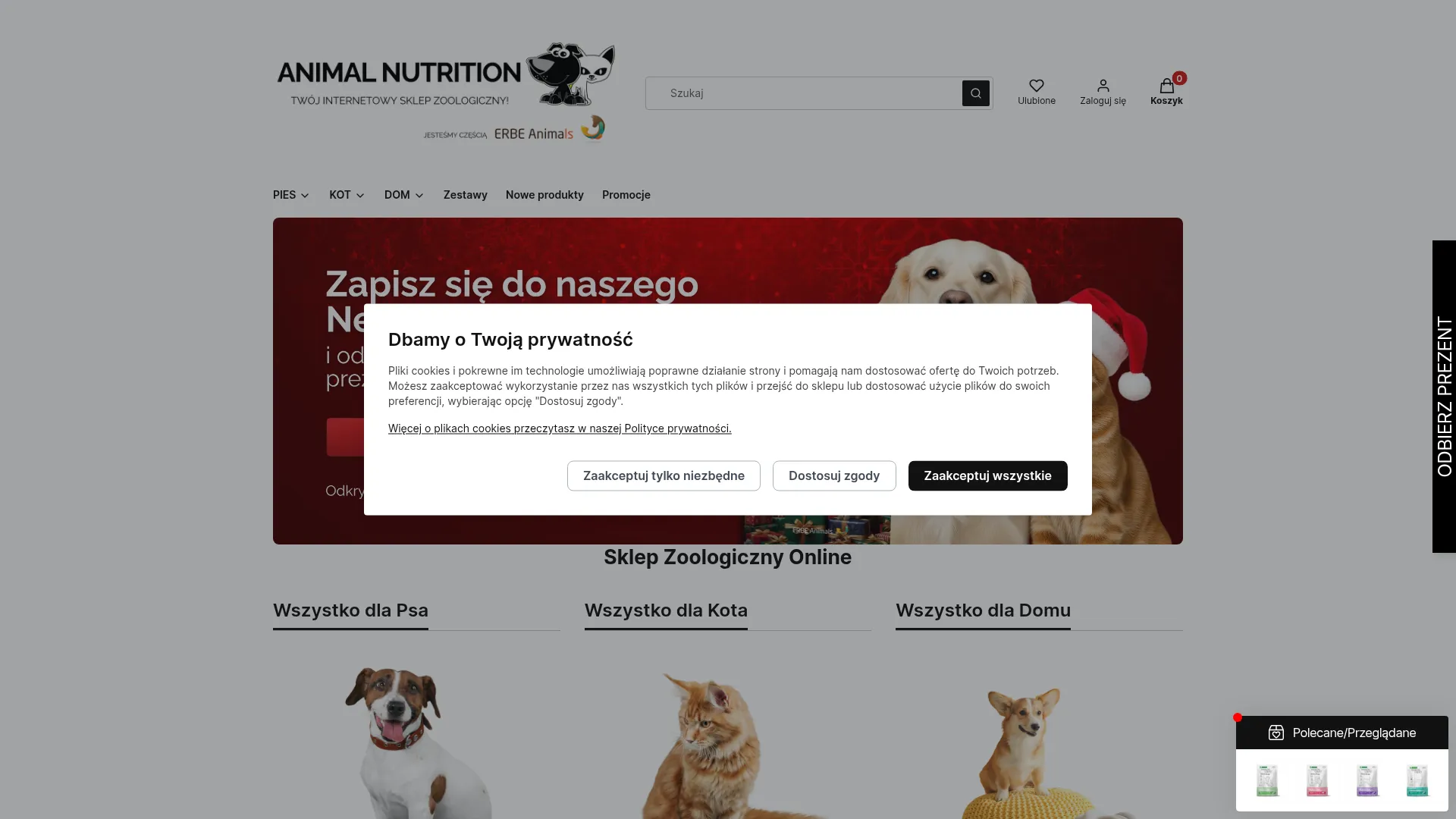 Zrzut ekranu strony