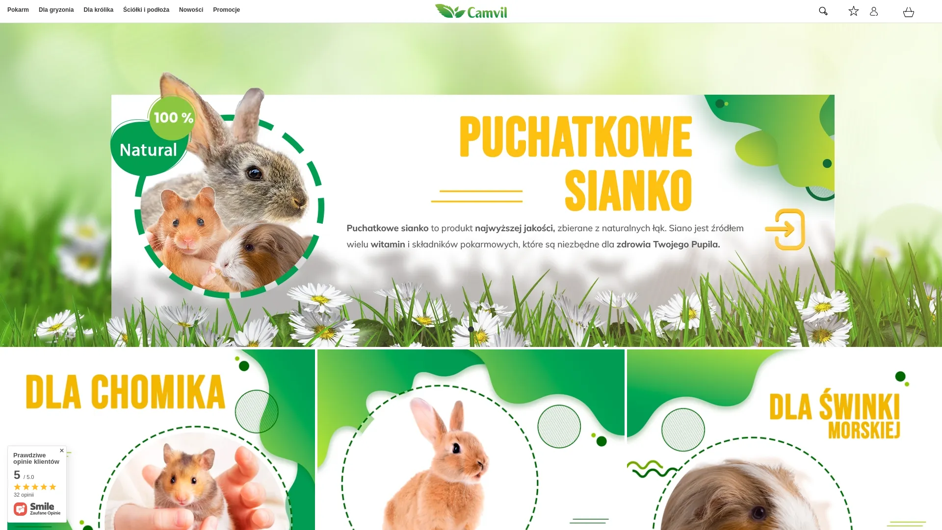 Zrzut ekranu strony