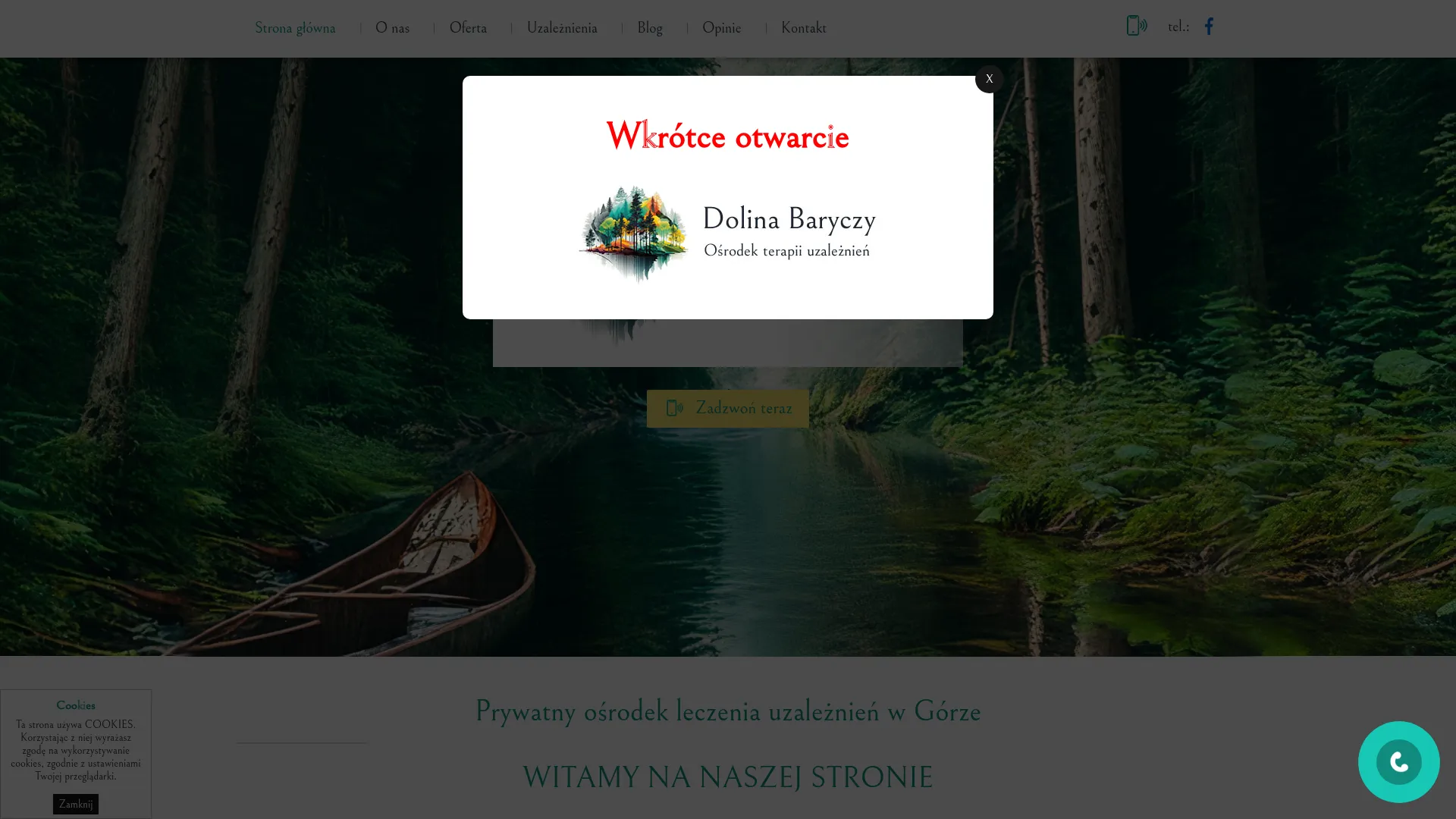 Zrzut ekranu strony